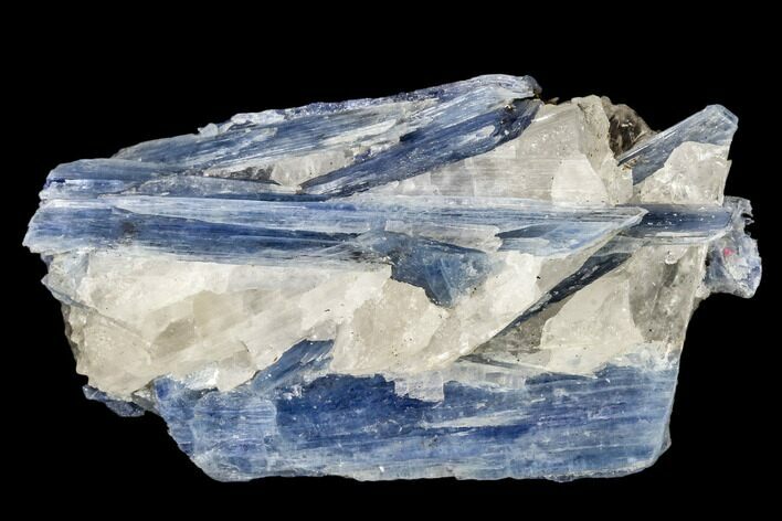 Vibrant Blue Kyanite Crystals in Quartz - Brazil #113466